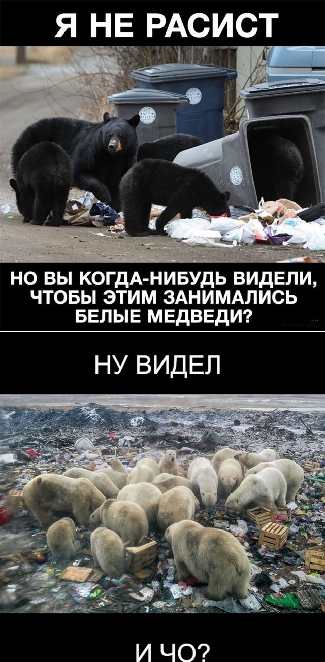 Так себе картинки 01.09.24