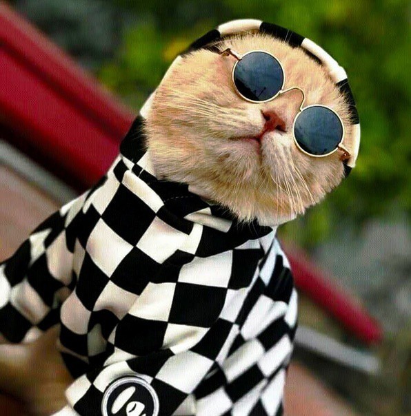 Всего понемногу. От 16 сентября