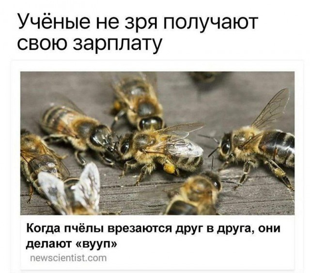 Всего понемногу. От 02.12.2024