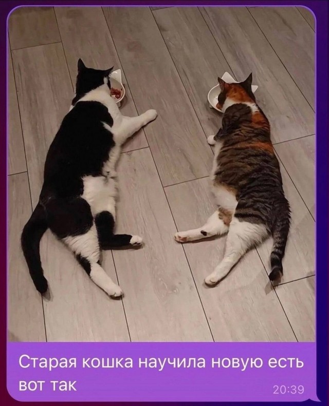 Завалялось тут случайно немного забавных картинок