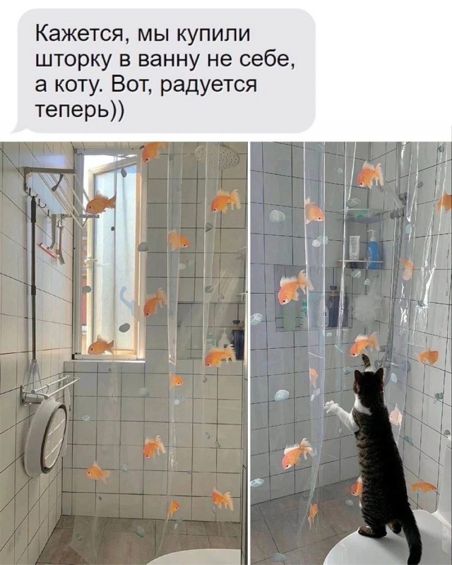 Завалялось тут случайно немного забавных картинок