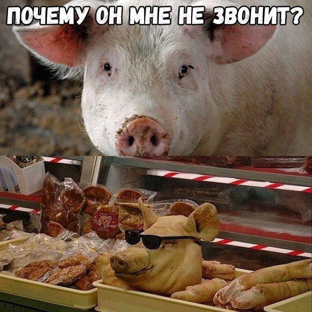 Завалялось тут случайно немного забавных картинок