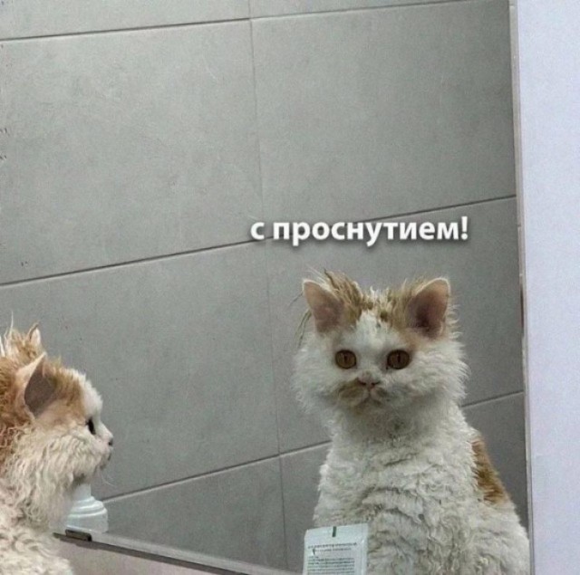 Здобрым утрам..