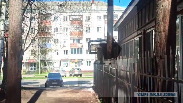 Молодой человек недавно погибшей 18-летней Надежды В. обратился к народу