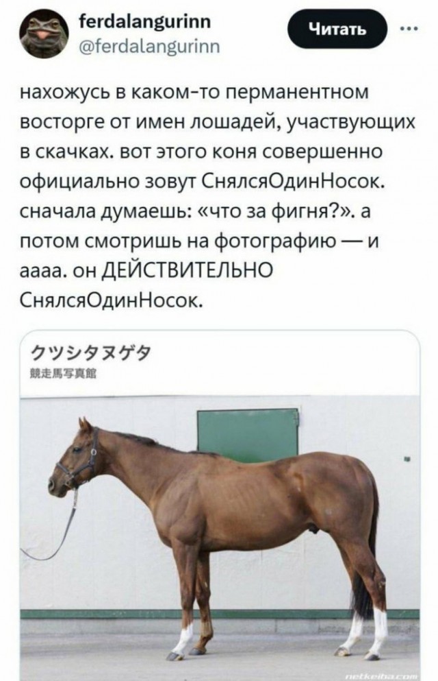 Картинки разные с надписями и без
