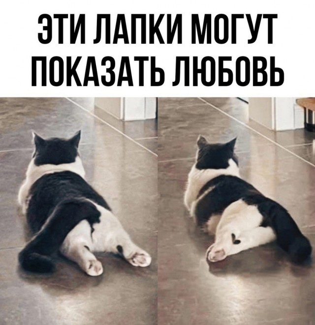 Веселые картинки в маленькую пятницу (28.05)