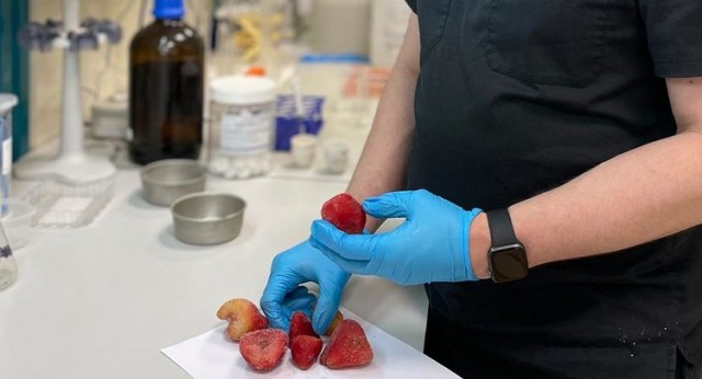 В клубнике из Египта нашли превышенное в 14 (!) раз содержание плесени