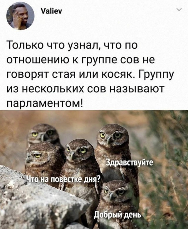 Завалялось тут случайно немного забавных картинок