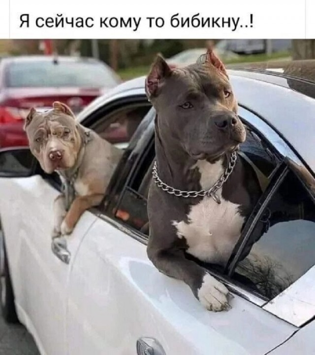 Так себе картинки 13.08.25