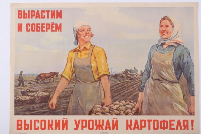 Про картошку