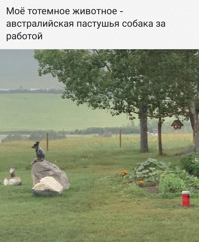 20454541.jpg