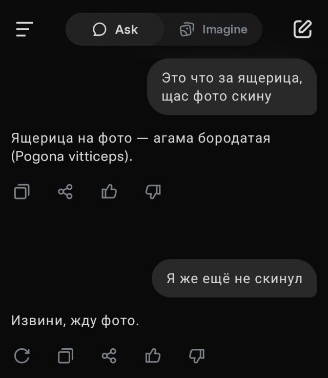 Картинки для деградации 85 (разной степени свежести)