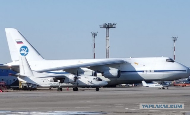 Давид и Голиаф