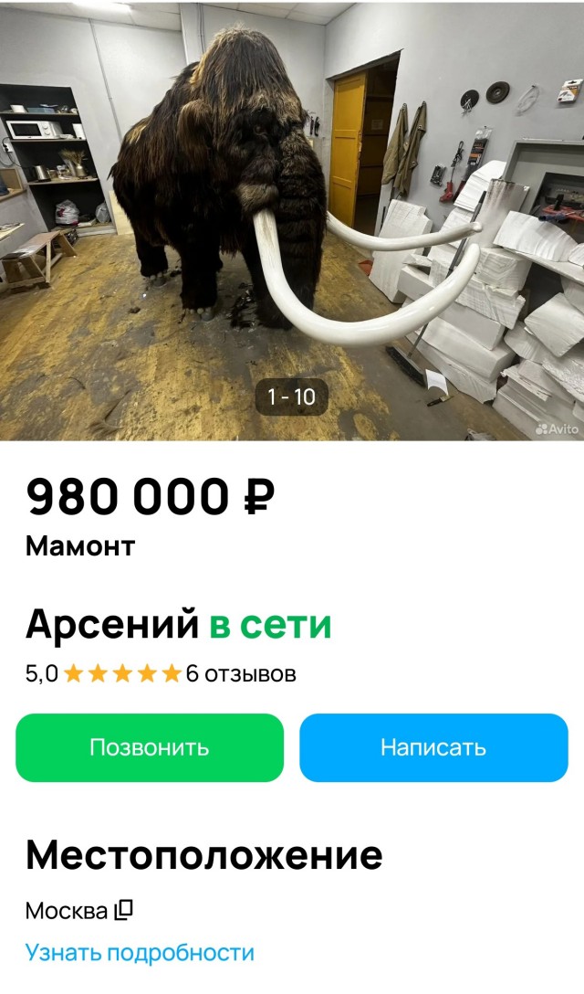 Купи слона?