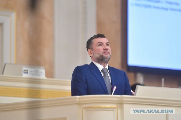 Власти Петербурга предложили бороться с экскурсиями по крышам с помощью дронов
