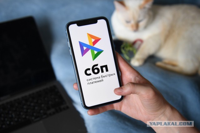 Оплата по СБП станет платной: с 1 мая переводы через СБП для бизнеса перестанут быть бесплатными