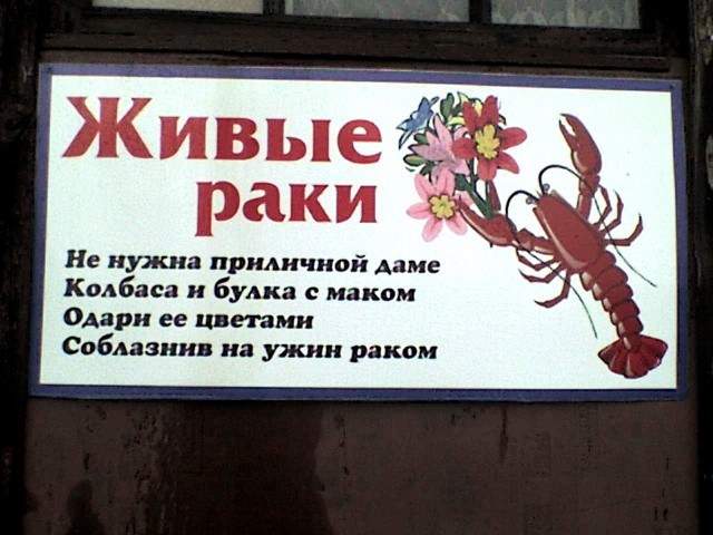 Забавные и не очень скромные картинки-36