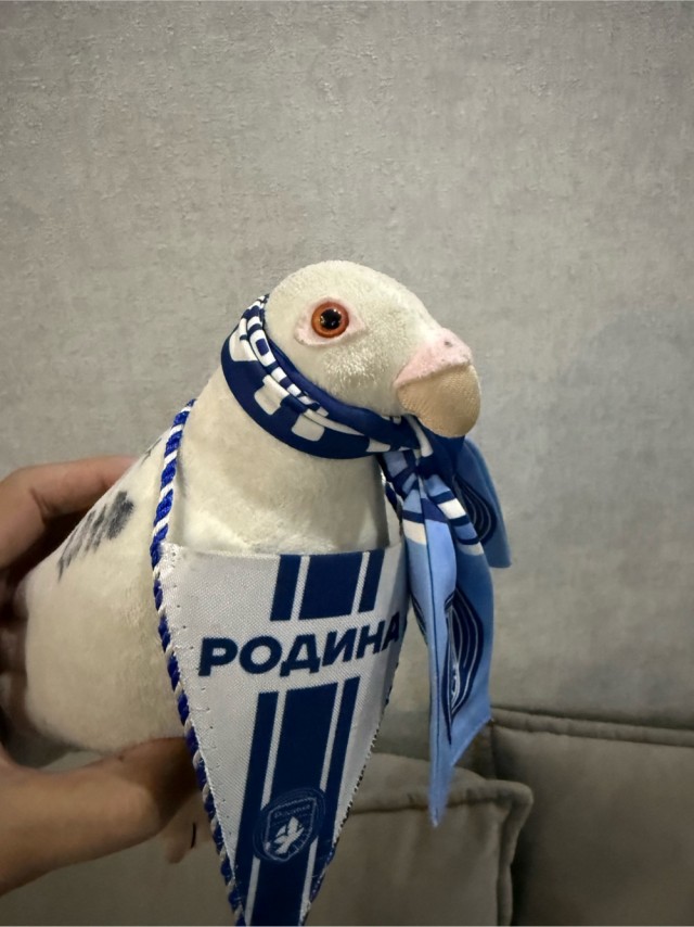 "Зенит" сенсационно проиграл дома «Родине», ведя 1:0 к 63-й минуте