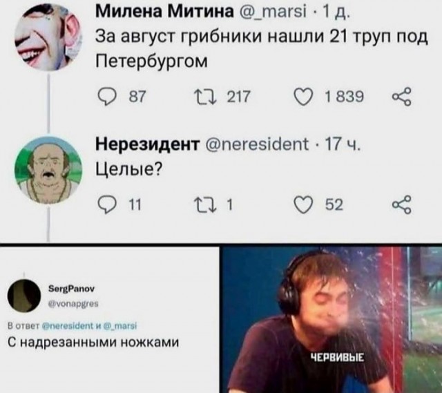 Картинки для деградации 269 (разной степени свежести)