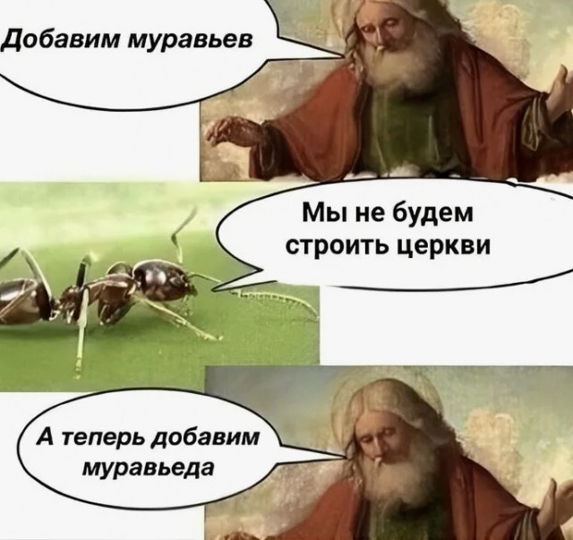Картинки для деградации 288 (разной степени свежести)