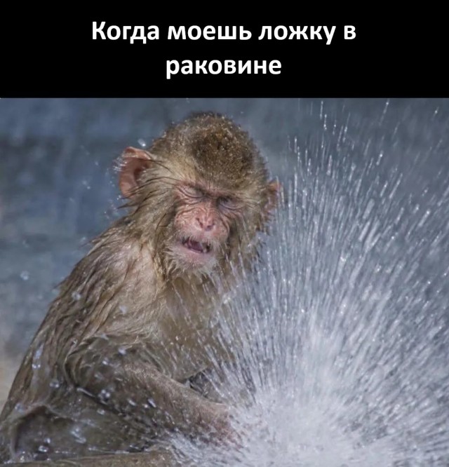 Каждый раз⁠⁠