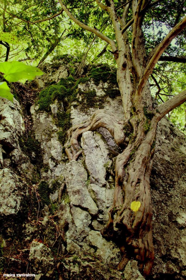 Крым: Судак и окрестности