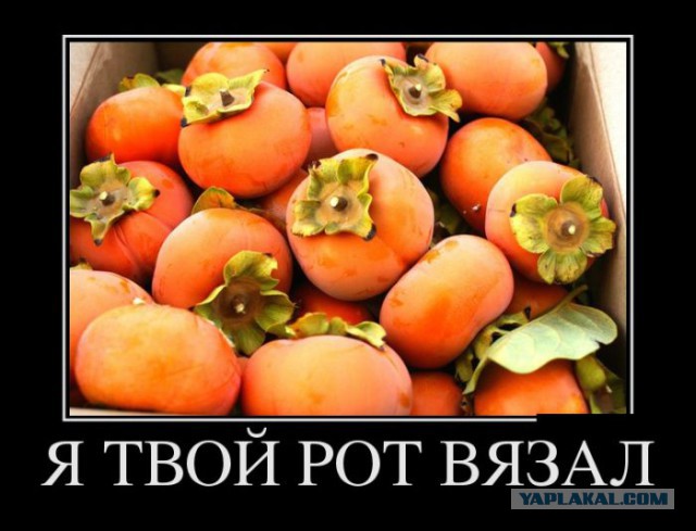 Представитель Украины в ПАСЕ