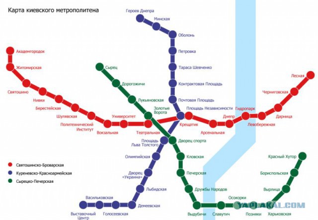 Свинарник среди высоток Киева