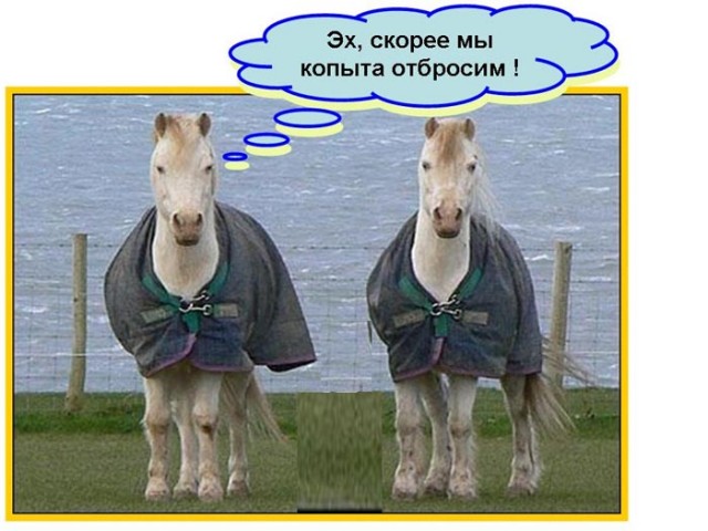 Если бы афиши к фильмам рисовали по названию