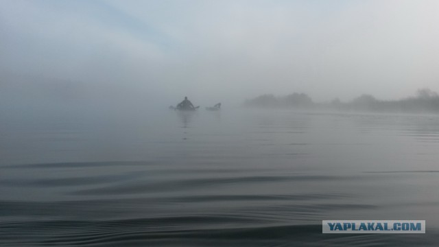 Последнее фото с Вашего телефона.