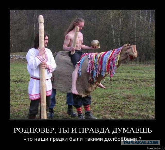 А ведь он прав!