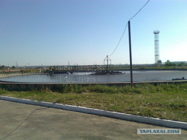Как очищают воду в Москве
