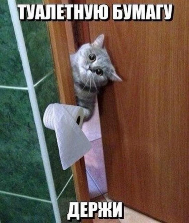 Туалет, сельский туалет....