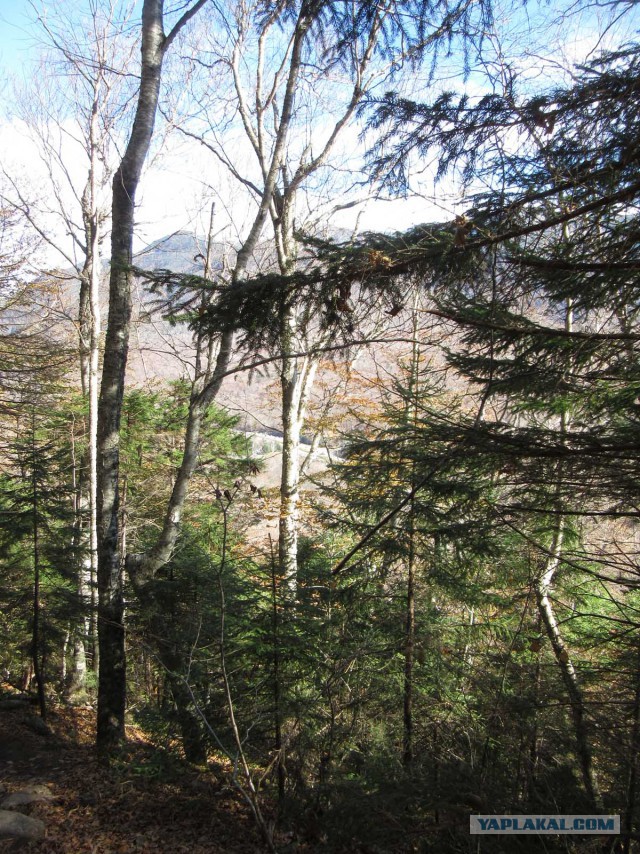 Деревенская Америка