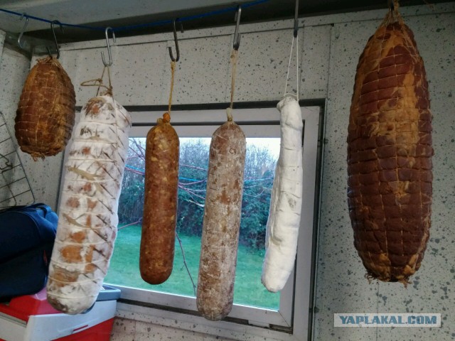 Пастрома "Нью-Йорк стайл"