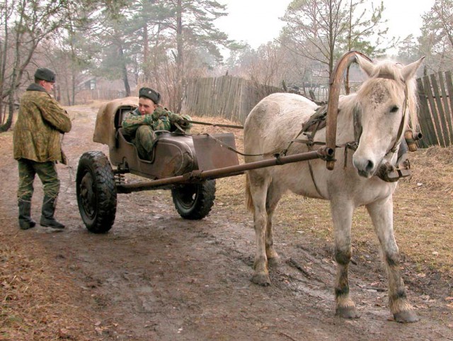 Винигрет пикч.