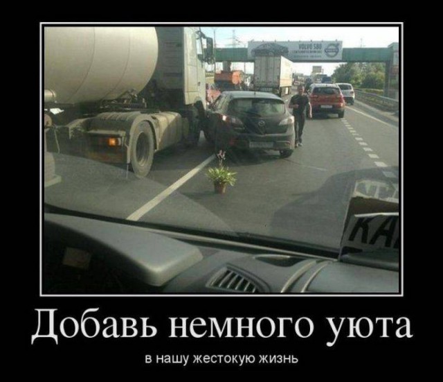 Смешные картинки с надписями