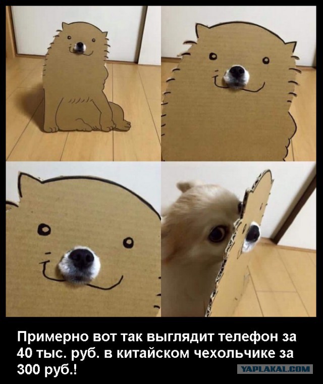 Подборка интересных и веселых картинок