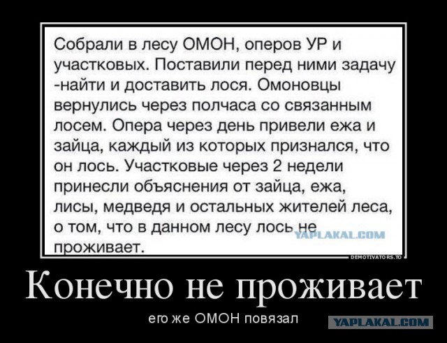 Весёлые картинки