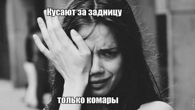 Картинки и приколы из сети