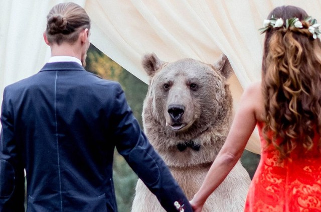 Типичная свадьба по-русски: церемонию бракосочетания провел медведь
