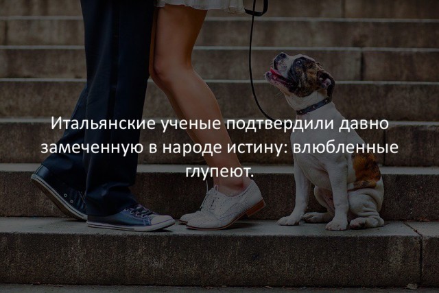 40 интересных фактов в картинках.