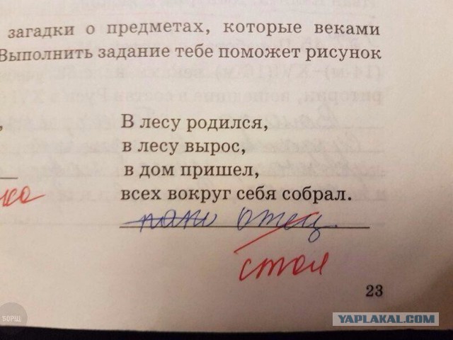 Подборка интересных и веселых картинок