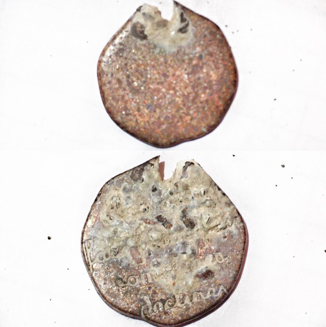 Неожиданные находки после шторма!