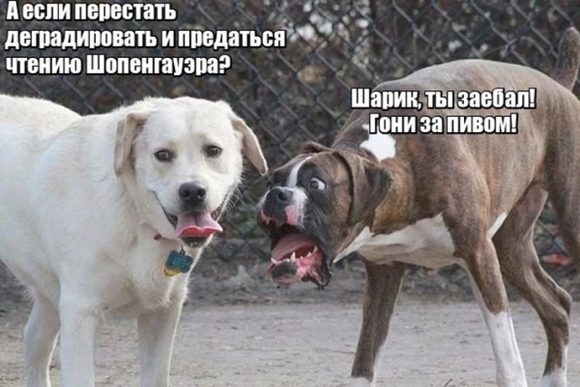 Абсурд и деградация: Адъ и Израиль!
