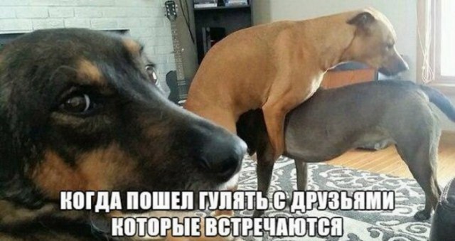 Нестандартный юмор