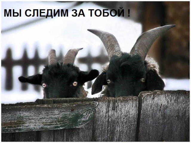 Женщина требует эксгумации, чтобы подтвердить отцовство и отжать квартиру