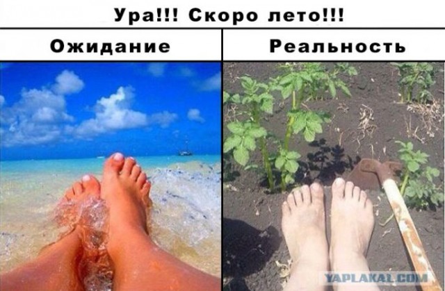Ожидание против реальности