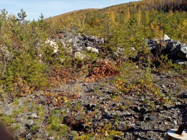 Осенняя тайга