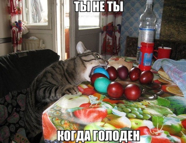 Немного картинок на вечер